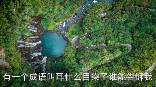 有一個成語叫耳什么目染了誰能告訴我