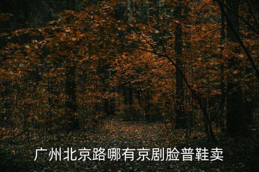 廣州北京路哪有京劇臉普鞋賣