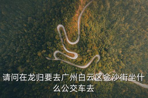 廣州金砂路步行街，請問在龍歸要去廣州白云區金沙街坐什么公交車去