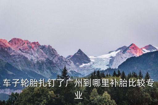 廣州小汽車輪胎修復(fù)，車子輪胎扎釘了廣州到哪里補胎比較專業(yè)