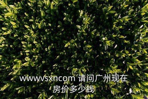 wwwvsxncom 請問廣州現在房價多少錢