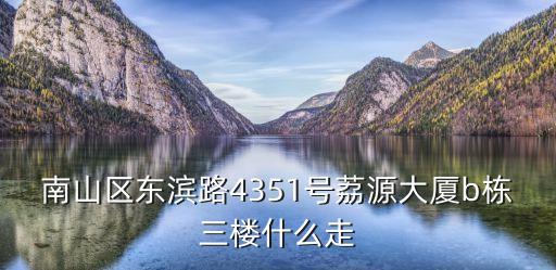 南山區(qū)東濱路4351號(hào)荔源大廈b棟三樓什么走