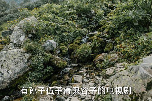謀圣鬼谷子電視劇，謀圣鬼谷子開播了