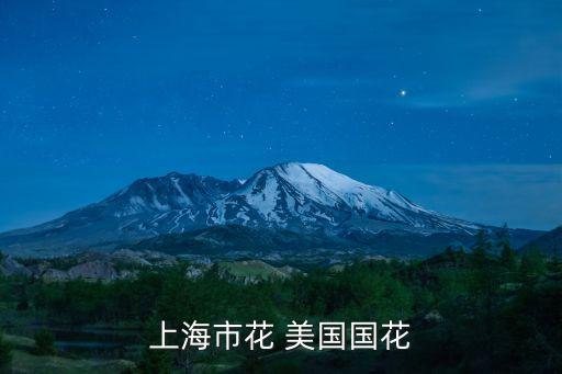 上海市花白玉蘭英語怎么寫，上海市花 美國國花