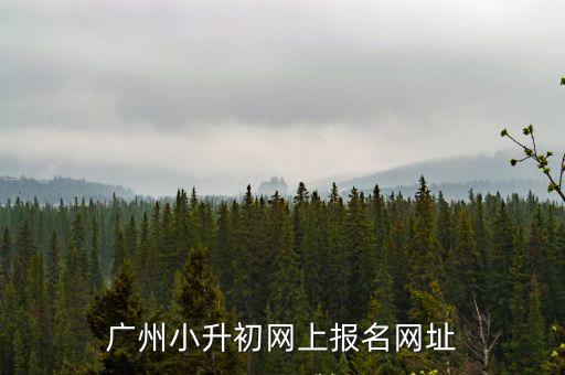 廣州小升初各校招生網(wǎng)址，廣州市小學(xué)升初中網(wǎng)上報(bào)名入口在哪里