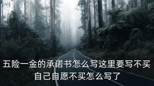 五險一金的承諾書怎么寫這里要寫不買自己自愿不買怎么寫了
