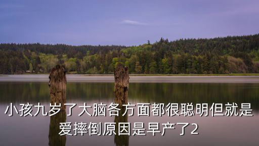 小孩九歲了大腦各方面都很聰明但就是愛摔倒原因是早產了2