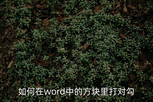 word怎么在方框里打勾，word2010怎樣在方框中打勾