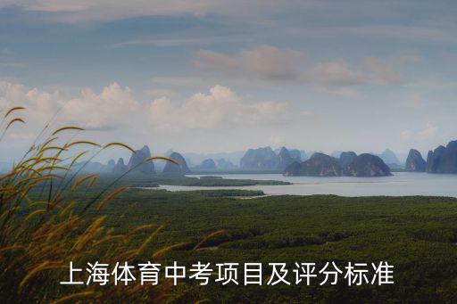 上海體育中考項目及評分標準