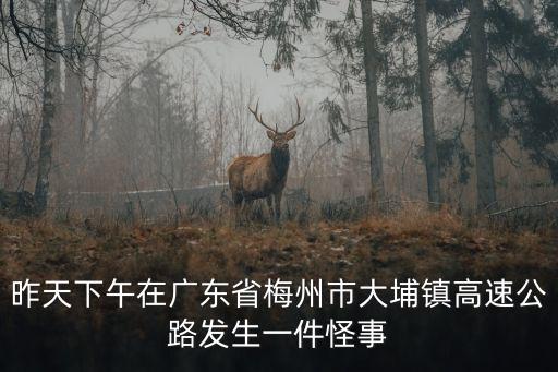 昨天下午在廣東省梅州市大埔鎮(zhèn)高速公路發(fā)生一件怪事