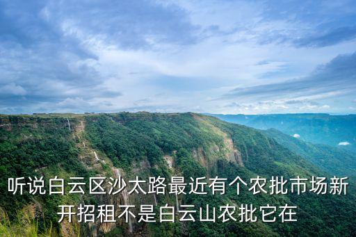 聽說白云區沙太路最近有個農批市場新開招租不是白云山農批它在