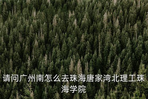請(qǐng)問廣州南怎么去珠海唐家灣北理工珠海學(xué)院