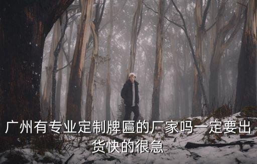 廣州有專業定制牌匾的廠家嗎一定要出貨快的很急