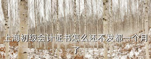 上海初級(jí)會(huì)計(jì)證書怎么還不發(fā)都一個(gè)月了