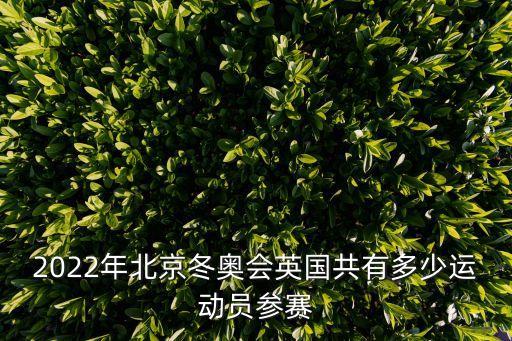 北京冬奧滿分彩蛋，2022冬奧會形象大使