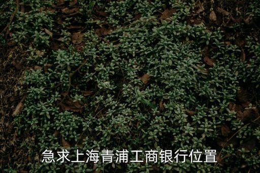 上海市趙巷鎮金鳳路，上海吉盛偉邦地址青浦店