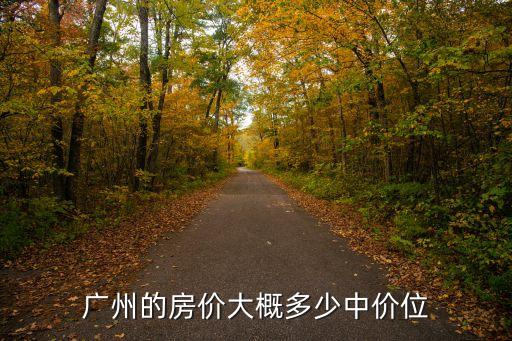 廣州美華新村房價多少，廣州的房價大概多少中價位