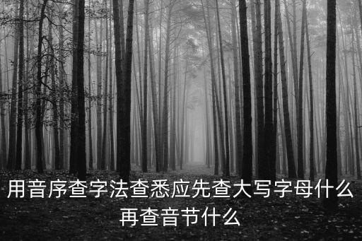 悉部首，用音序查字法查悉應先查大寫字母什么再查音節什么