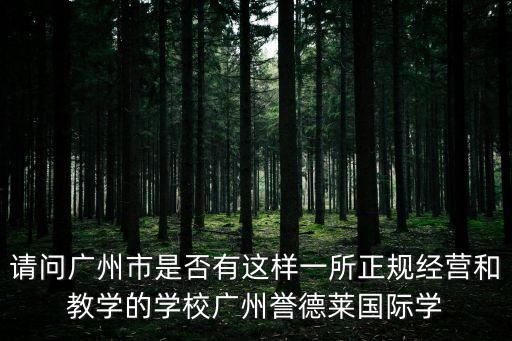 請問廣州市是否有這樣一所正規經營和教學的學校廣州譽德萊國際學