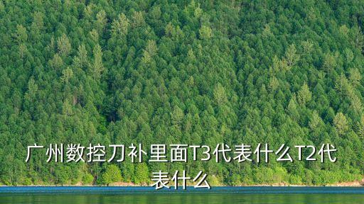 廣州數控刀補里面T3代表什么T2代表什么