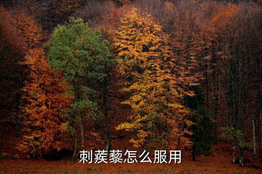 刺蒺藜怎么用壯陽，刺蒺藜葉有什么用