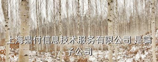 上海市寶山區(qū)王氏進(jìn)口有限公司，上海鼎付信息技術(shù)服務(wù)有限公司 是騙子公司