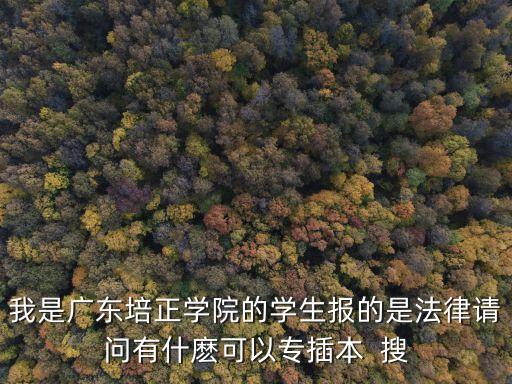 廣東省廣州培正插本，廣東培正學院有專插本嗎