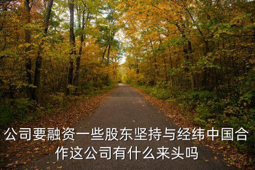 公司要融資一些股東堅持與經(jīng)緯中國合作這公司有什么來頭嗎