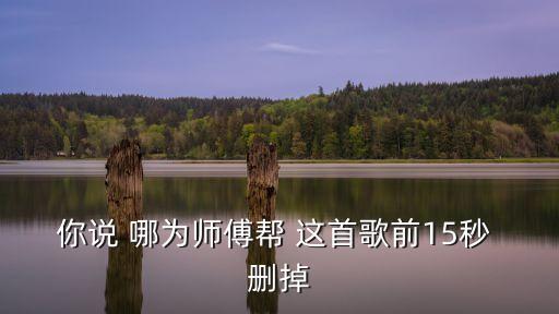 你說 哪為師傅幫 這首歌前15秒 刪掉