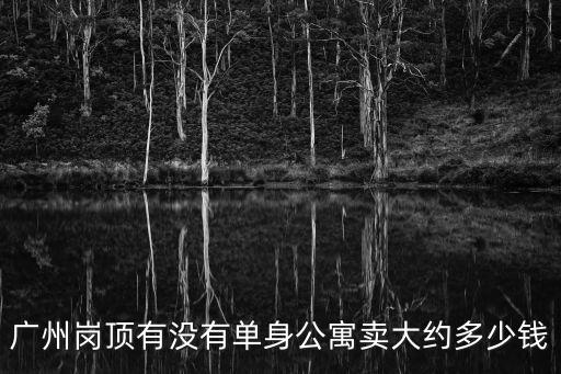 廣州崗頂有沒有單身公寓賣大約多少錢