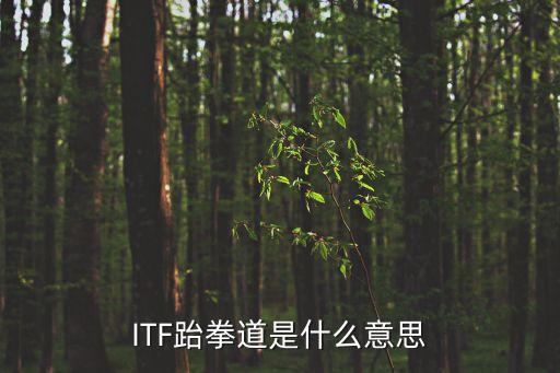 國際跆拳道，ITF跆拳道是什么意思