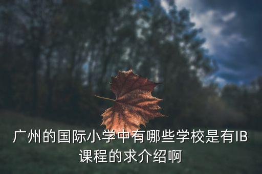 廣州有ib課程的學校，廣東有什么ib學校或者是有預科讀的都可以