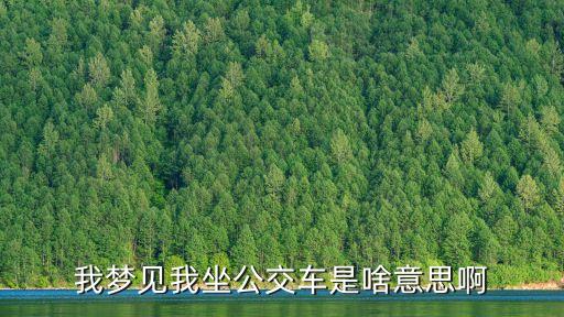我夢見我坐公交車是啥意思啊
