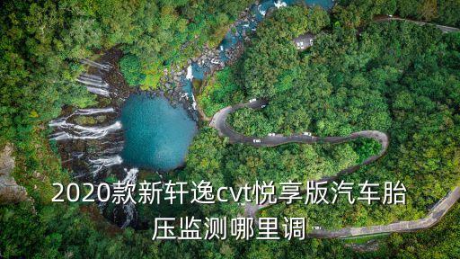 2020款新軒逸cvt悅享版汽車胎壓監(jiān)測(cè)哪里調(diào)