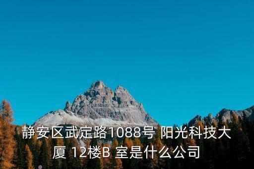 上海市天浩電子科技有限公司，上海市河南南路33號23樓a座是家什么公司