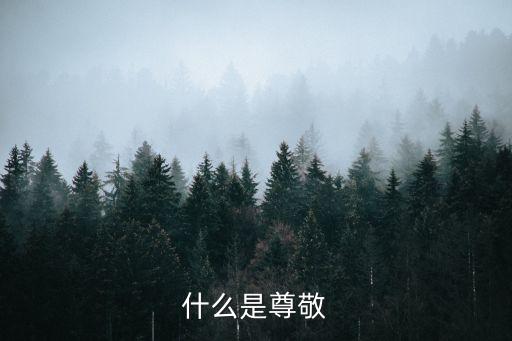 什么是尊敬
