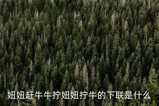 妞妞趕牛牛擰妞妞擰牛的下聯是什么