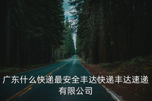 廣東什么快遞最安全豐達(dá)快遞豐達(dá)速遞有限公司