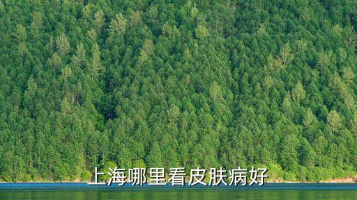 上海市看皮膚美譽都市，上海哪里看皮膚病好