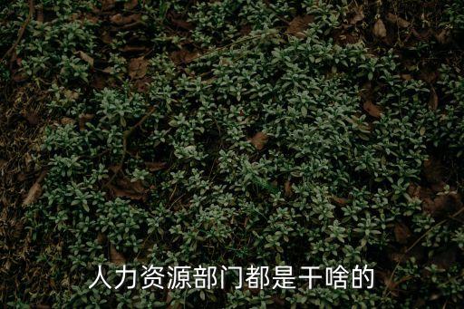 人力資源部門都是干啥的