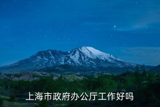 上海市政府辦公廳工作好嗎