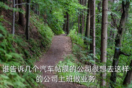 廣州睿尚紡織有限公司打工好嗎，誰告訴幾個汽車帖膜的公司很想去這樣的公司上班做業務