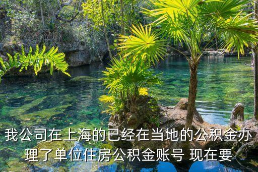 上海市公積金委托建行，請問市區那個建行可以辦住房公積金業務的