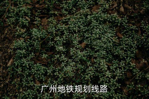 廣州地鐵規劃線路
