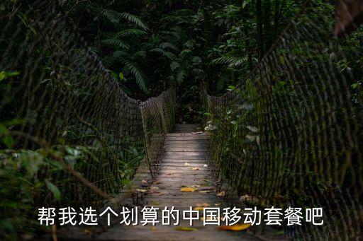 上海市新家庭計劃總結，幫我選個劃算的中國移動套餐吧