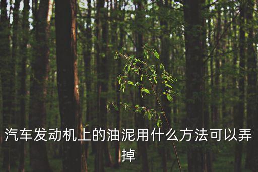 汽車發動機上的油泥用什么方法可以弄掉