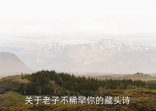 老子不稀罕，用英語表達 你不稀罕我老子特么還不稀罕你呢