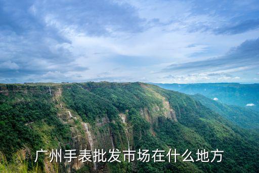 廣州手表批發商家，廣州手表批發市場在什么地方
