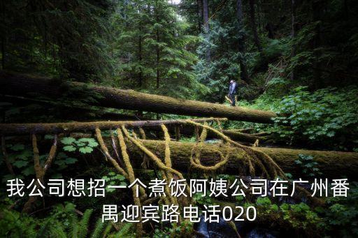 我公司想招一個煮飯阿姨公司在廣州番禺迎賓路電話020