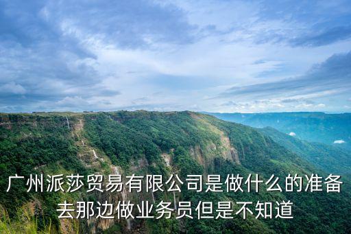 廣州派莎貿易有限公司是做什么的準備去那邊做業務員但是不知道